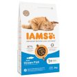 IAMS Advanced Nutrition Adult Cat with Ocean Fish Online