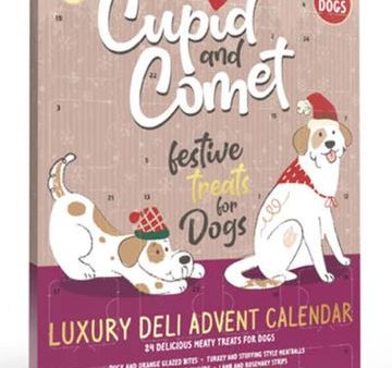 Cupid And Comet Xmas Festive Christmas Advent Calendar For Dogs Online