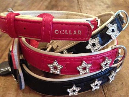 Collar Brilliance - Stars Online now