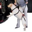 Total Pet Health Lift & Go Lead For Cheap