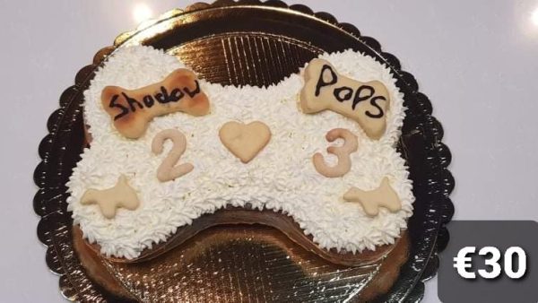 Wendy s Frosted Bone Shape Cake for Dogs - Personalised Online