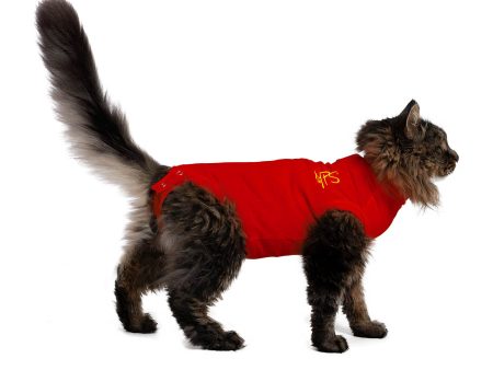 MPS-MEDICAL PET SHIRT® Online