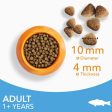 IAMS Advanced Nutrition Adult Cat with Ocean Fish Online