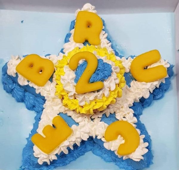 Wendy s Frosted Star Shape Cake for Dogs & Cats - Personalised Online Hot Sale