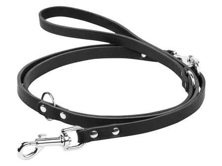 WAUDOG LEASH COLLAR Hot on Sale