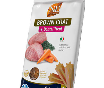 Brown Coat Dental Treat with lamb, spirulina and carrot mini For Sale