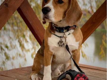 COLLAR WAU Dog Retractable Dog Leash | Tartan (Plaid) Heavy Duty Dog Leash Sale