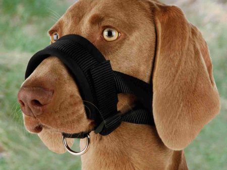 Trixie Muzzle Loop Online