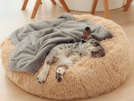 Pet Comfort Calming Bed Sale