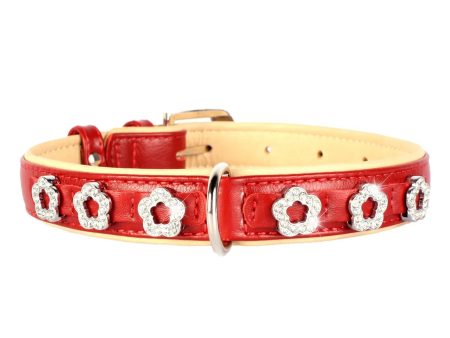 Dog collar CoLLar Brilliance Flower double Red For Cheap