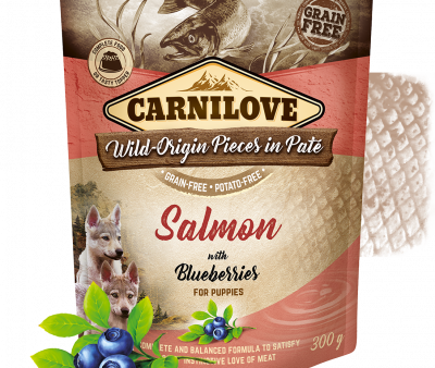 Carnilove Salmon with Blueberries for puppies on Sale