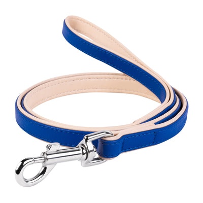 Leash  CoLLaR brilliance For Discount