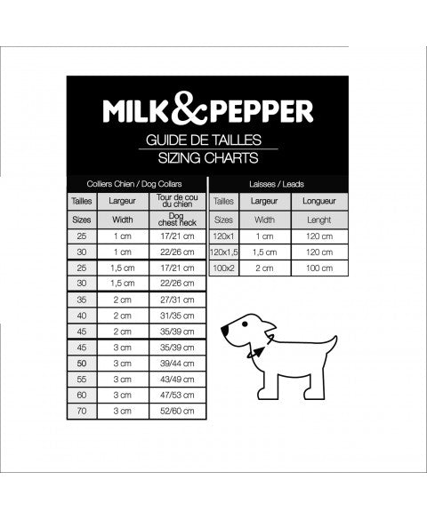 MILK AND PEPPER Lagoon Stardust Collar Fashion